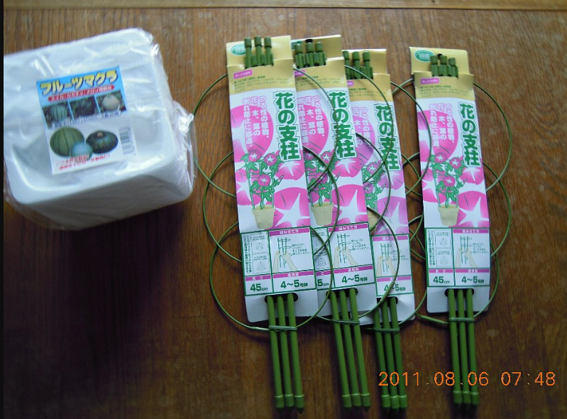 かぼちゃのマットは８月６日に敷きました 2011-09-13