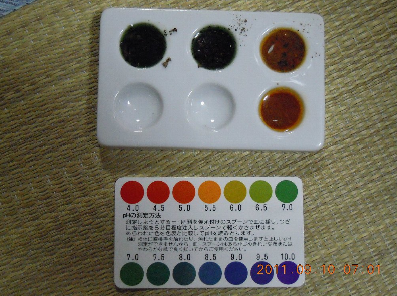 客土を使った家庭菜園の土作り（その３）2011-09-14