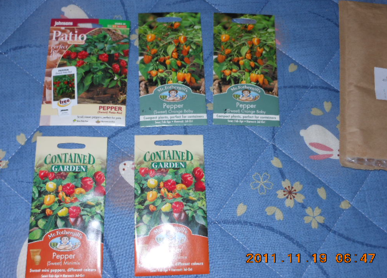 ミニカラーピーマンの種 2011-11-25