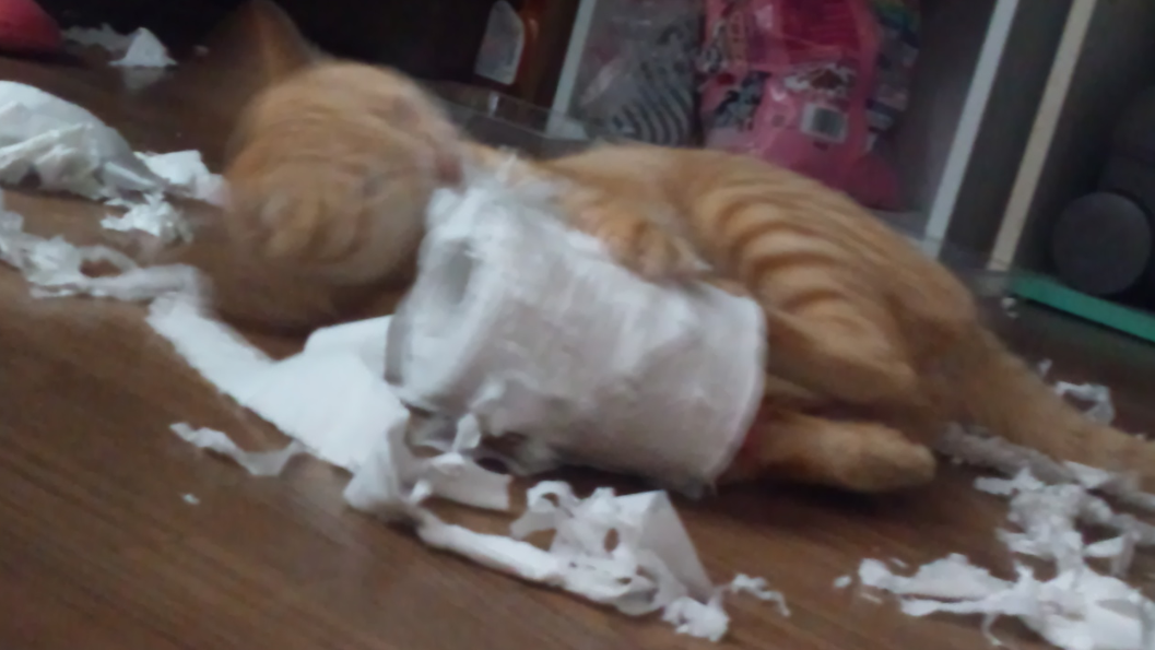 紙フェチですね 2012-01-10