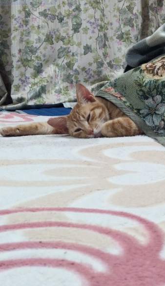 そういえば 2012-02-04