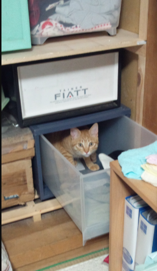 荷造り 2012-03-30