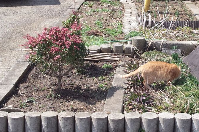 週末になると天気が悪くなるのは 2012-03-25