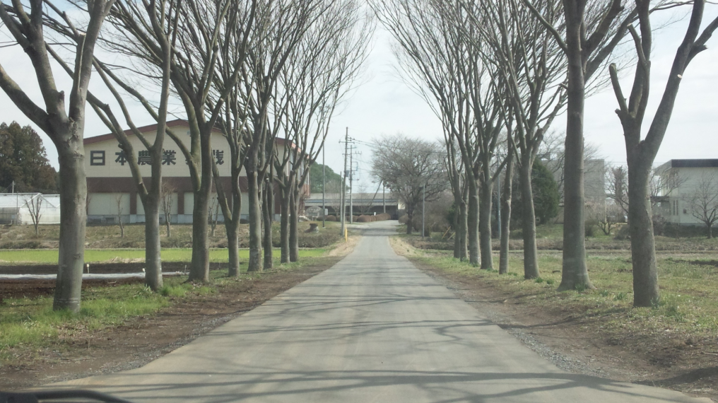無事に着きましたが  2012-04-01