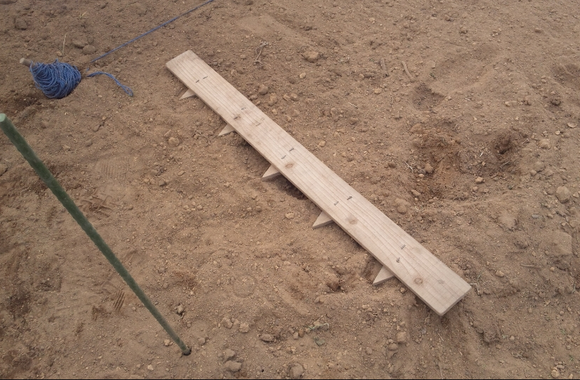 小松菜の播種と里芋の種芋は・・・ 2012-04-05