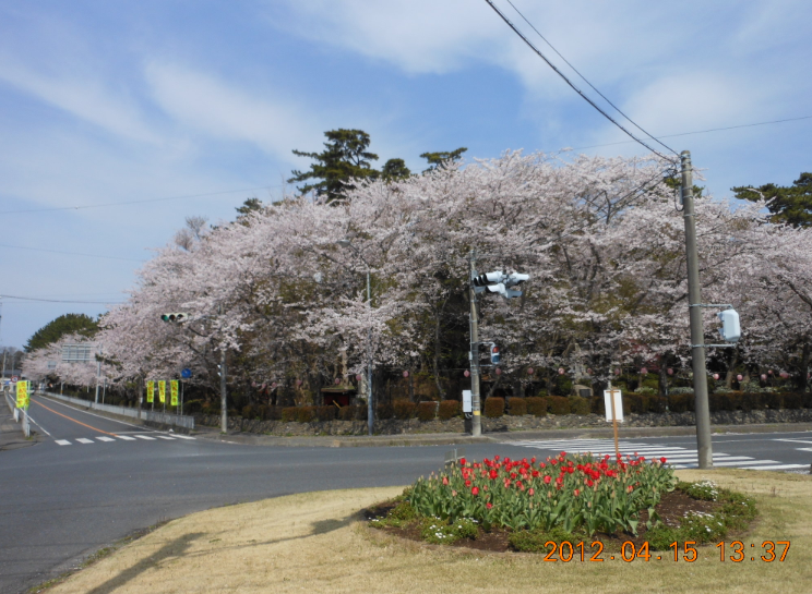 JA水戸の直売所めぐり（その５）大洗地区農産物直売所 2012-04-15