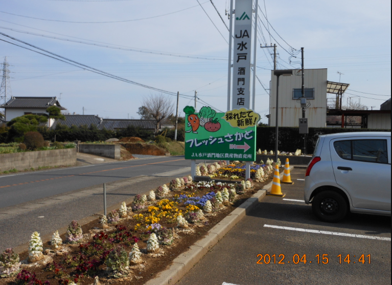 JA水戸の直売所めぐり（その７）フレッシュさかど 2012-04-15