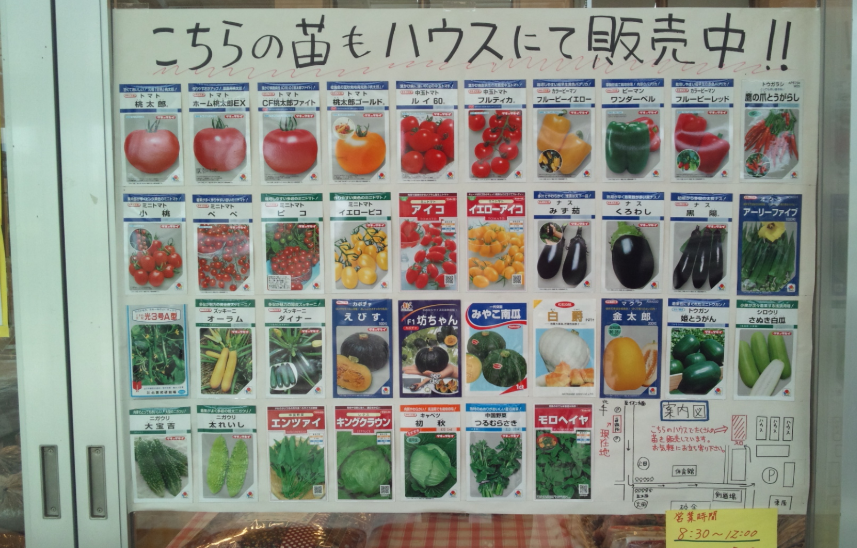 実践学園の直売所 2012-04-26