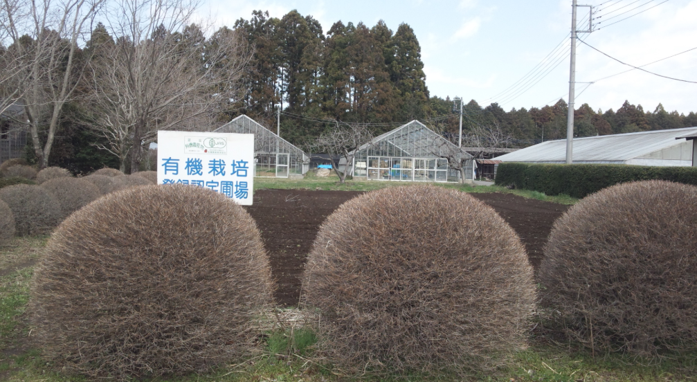 有機野菜部 2012-04-27