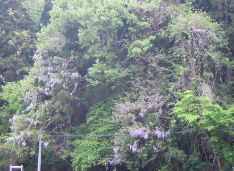 消防団競技会の練習の準備 2012-05-06