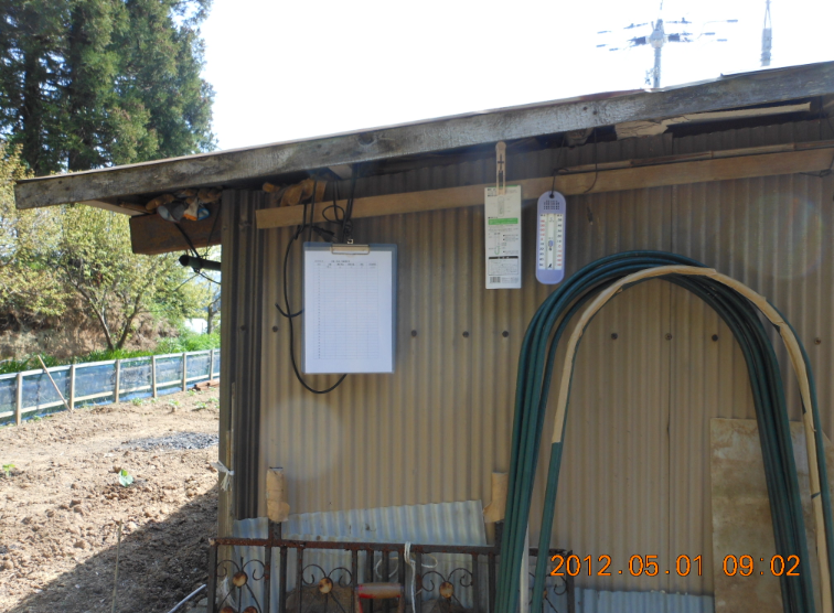 ナス（あのみのり）の定植と温度計 2012-04-30