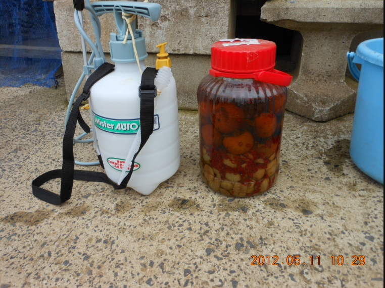 栄養剤散布 2012-05-11