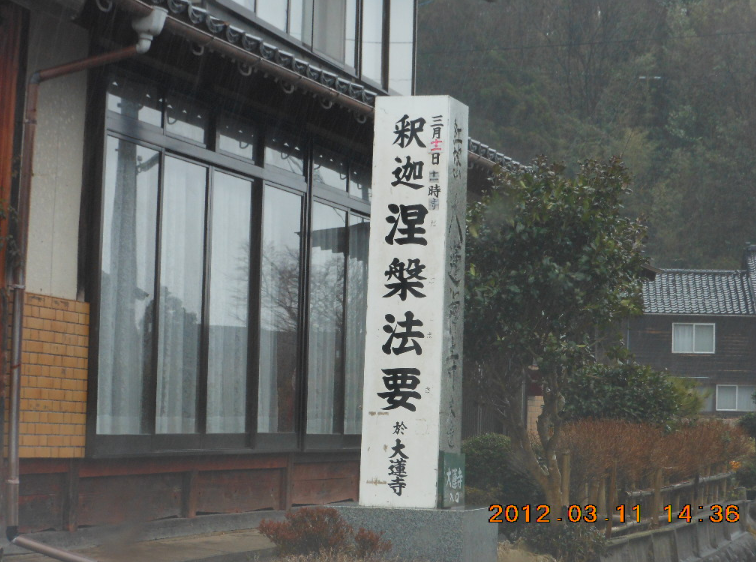 蛇除けのお守りとマムシの子 2012-05-17