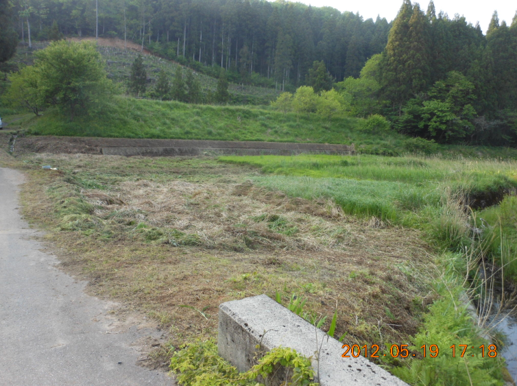 ザリガニの巣 2012-05-19