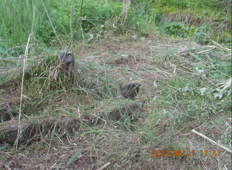 排水口を見つけた 2012-05-21