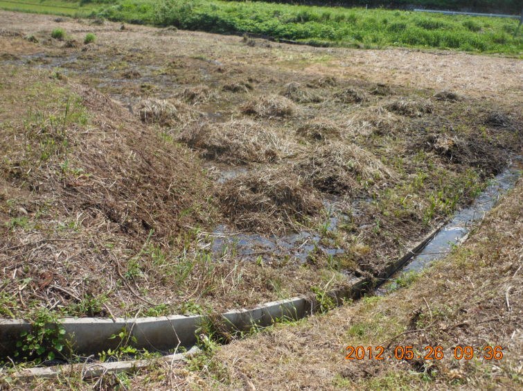 草集め 2012-05-26