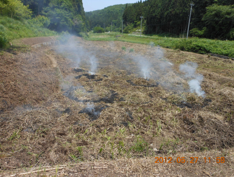 野焼きしてたら 2012-05-27