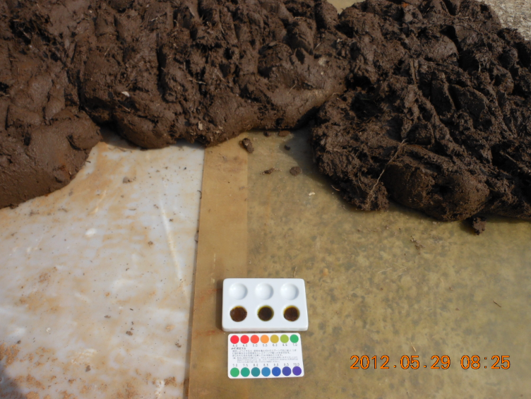 田んぼの土は宝の土 2012-05-29