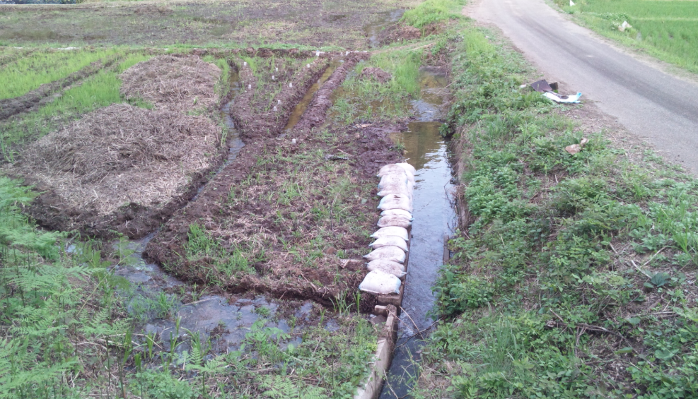 とりあえず土のう袋を１５０枚 2012-06-13