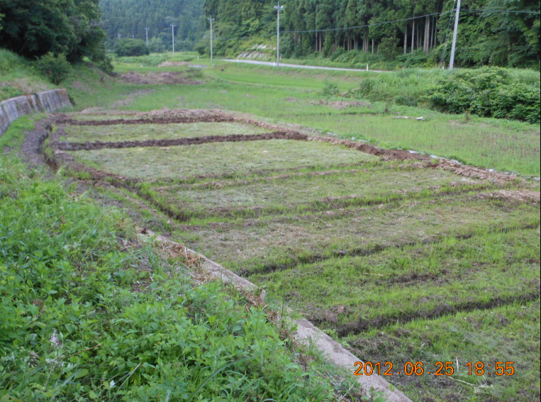 溝切り完了 2012-06-25