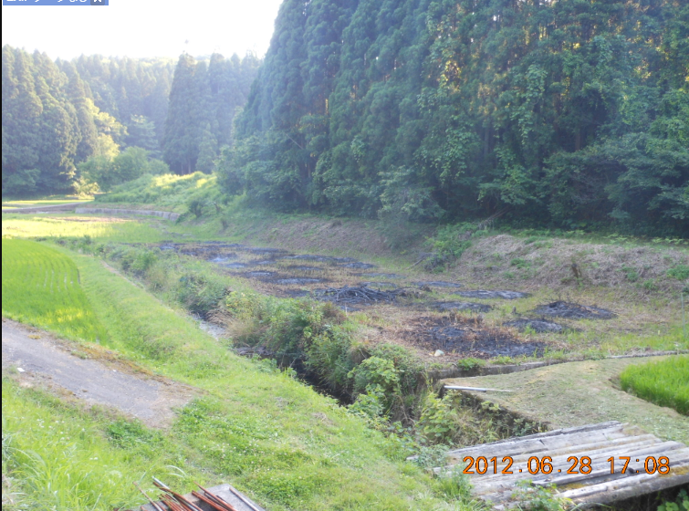 こごみエリアの野焼き 2012-06-28