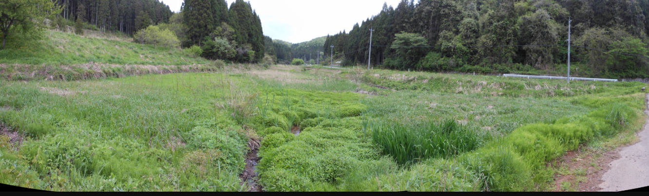 穴水１号圃場の初期化完了 2012-06-30