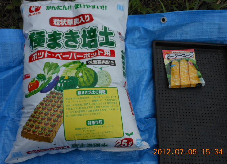 穴水2号ほ場でとうもろこし 2012-07-05