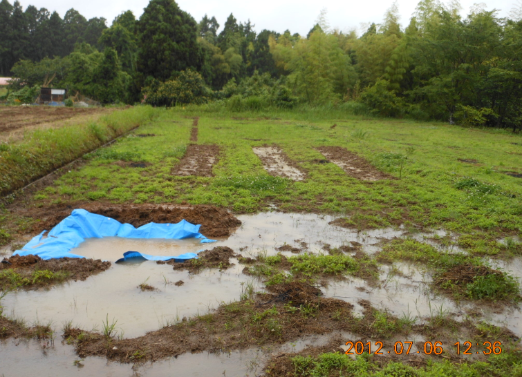 とうもろこしの播種の続き 2012-07-06