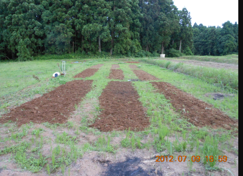 穴水２号ほ場で畝つくり 2012-07-09