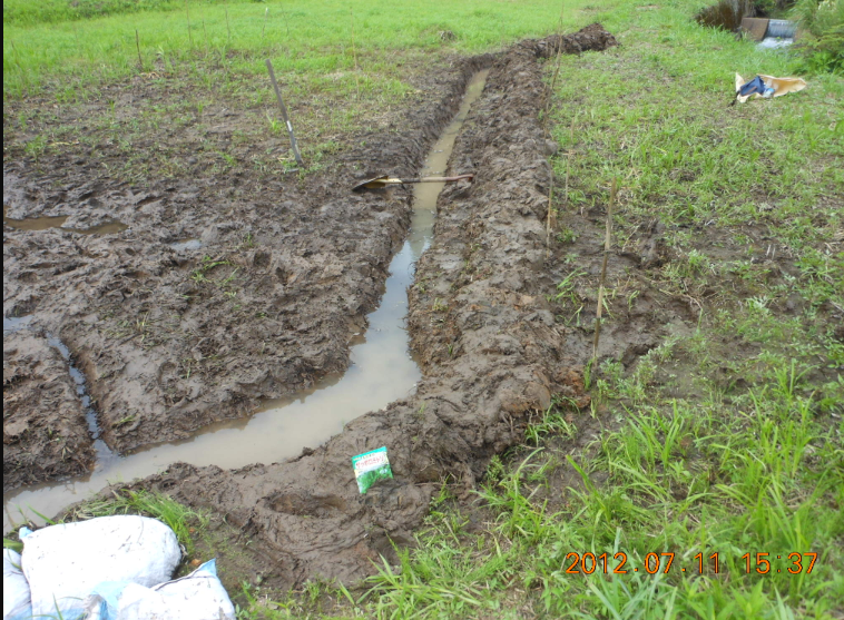 枝豆の播種と露地野菜適作判定支援システム 2012-07-11