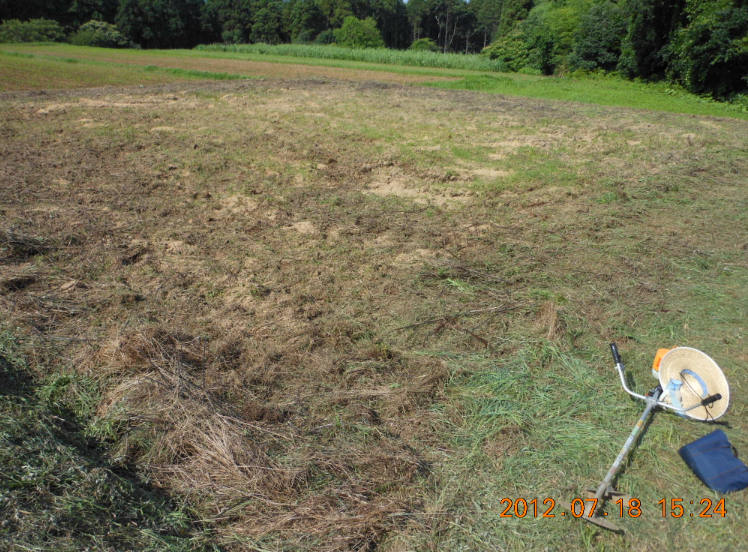 草刈りと畝作り 2012-07-18