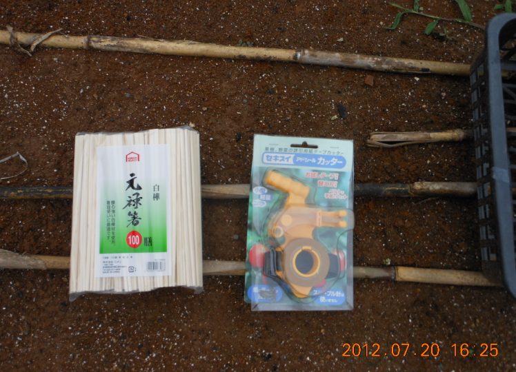 ろじゆたかトマトに仮支柱 2012-07-20