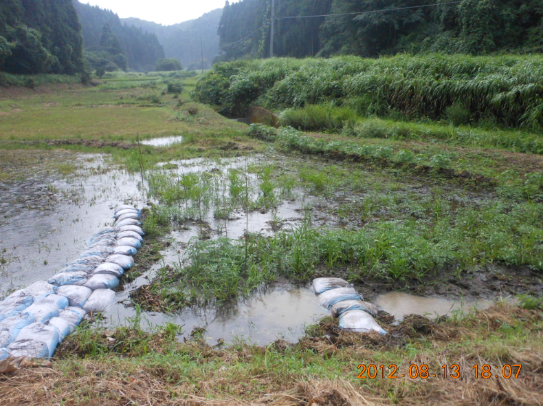 水田ビオトープ作り 2012-08-13