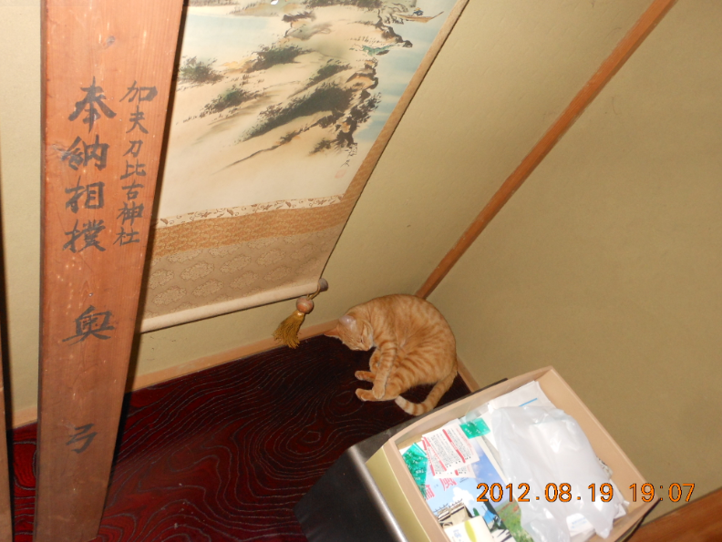 残暑の厳しい一日でした 2012-08-19