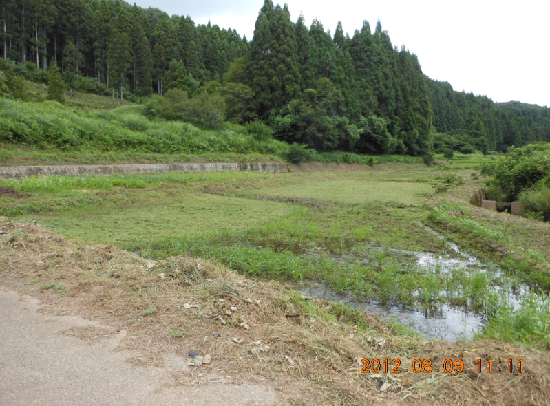 今日も草刈り 2012-08-09