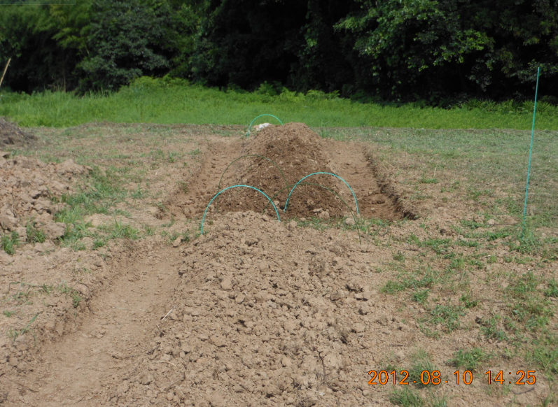 トマト用の畝立て 2012-08-10