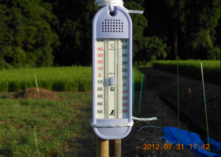穴水3号ほ場に苗を移動 2012-07-31