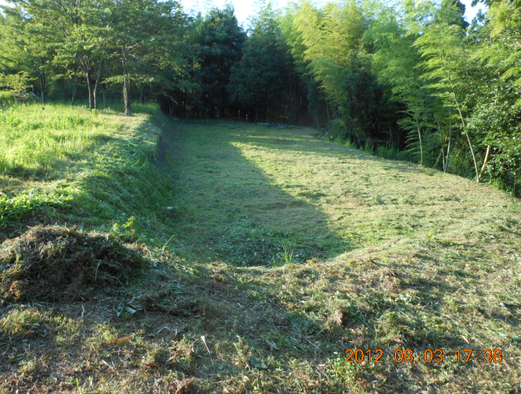 穴水２号ほ場の草刈りと大根十耕（３耕目） 2012-08-03