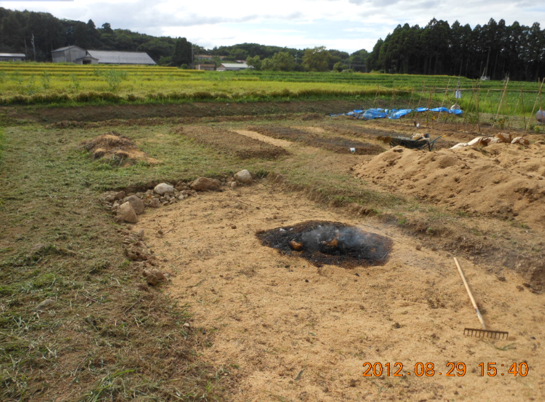 まだ消えない 2012-08-29