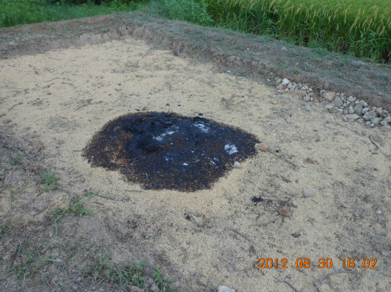 やっと消えたかも？ 2012-08-30