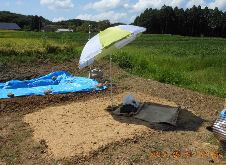 レーキに八つ当たりで 2012-08-31