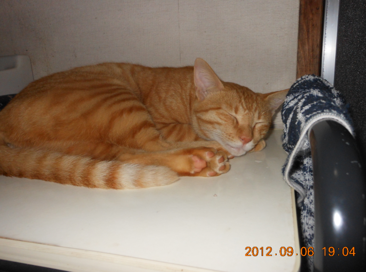 外禁が解けて 2012-09-06