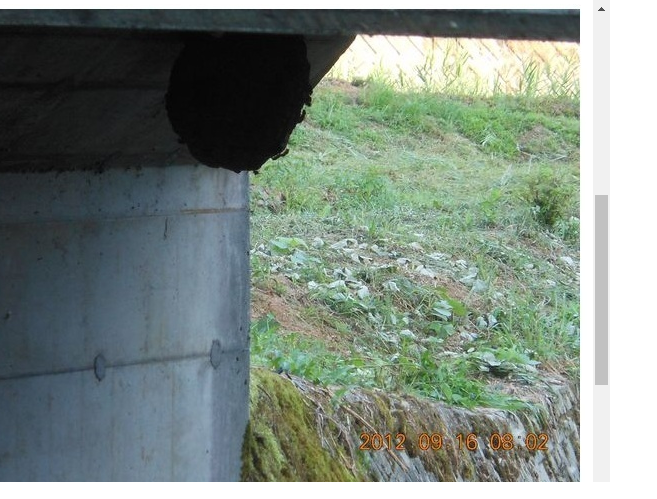 蜂の巣危険 2012-09-16