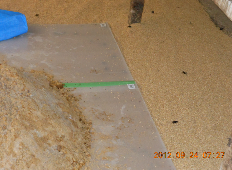 発酵米ぬかの最初の切り返し 2012-09-24