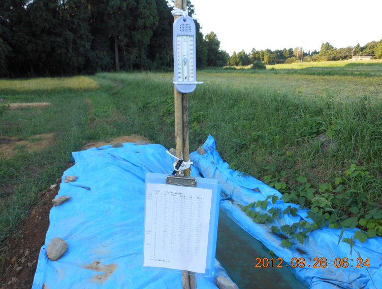 野良スイカが無くなって 2012-09-27