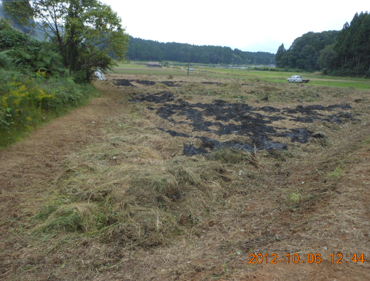 野焼きをしても草が減らない 2012-10-06