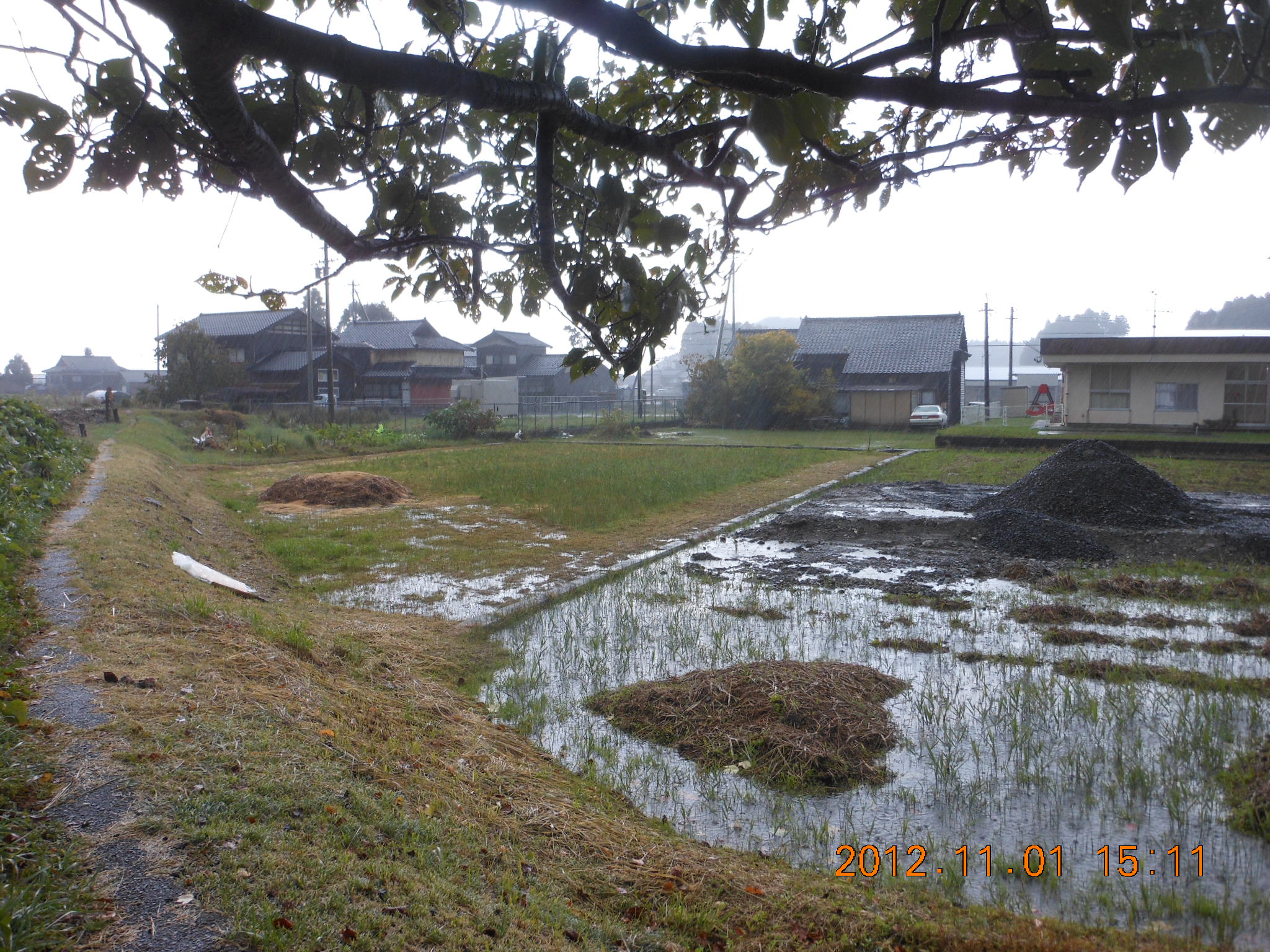 ほ場の見回りをしてたらあられが降ってきた 2012-11-01