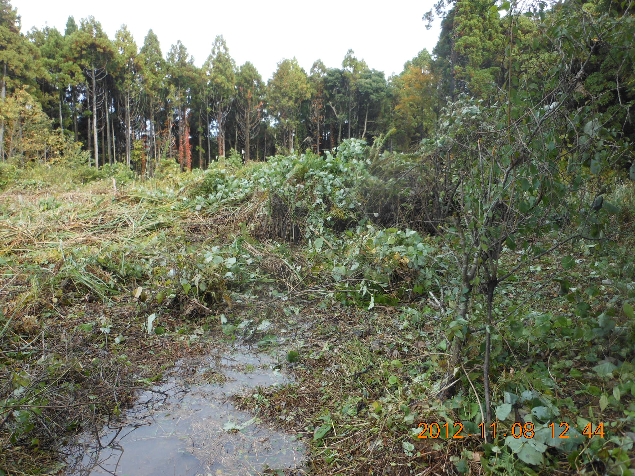 休耕田の草刈りは 2012-11-08