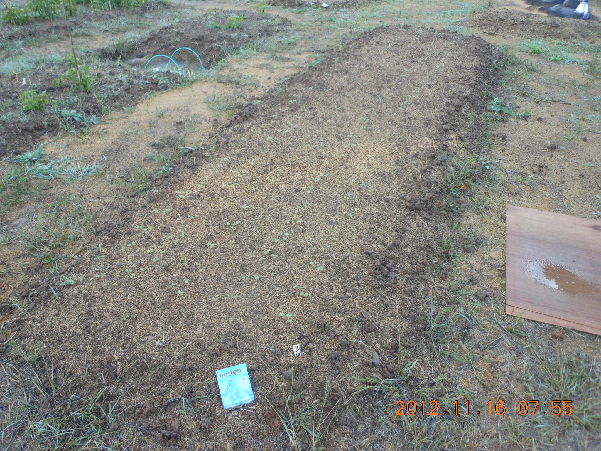 もみ殻を使った土壌改良 2012-11-16