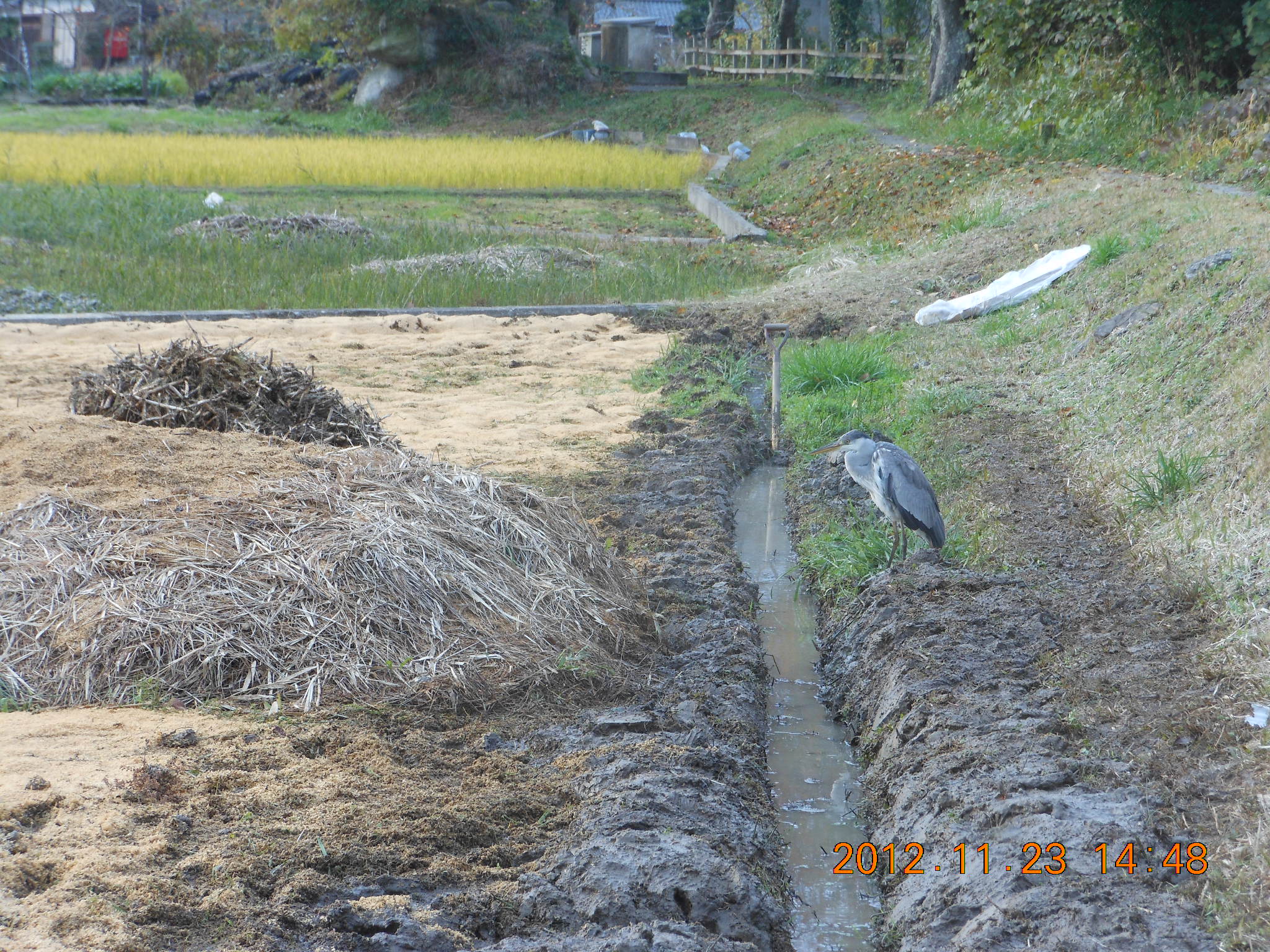 ６号ほ場の額縁明渠は作業完了 2012-11-23